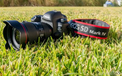 Canon EOS 5D Mark IV, análisis: una réflex continuista, algo más más completa y también más cara
