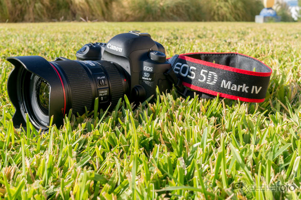 Canon EOS 5D Mark IV, análisis: una réflex continuista, algo más más completa y también más cara